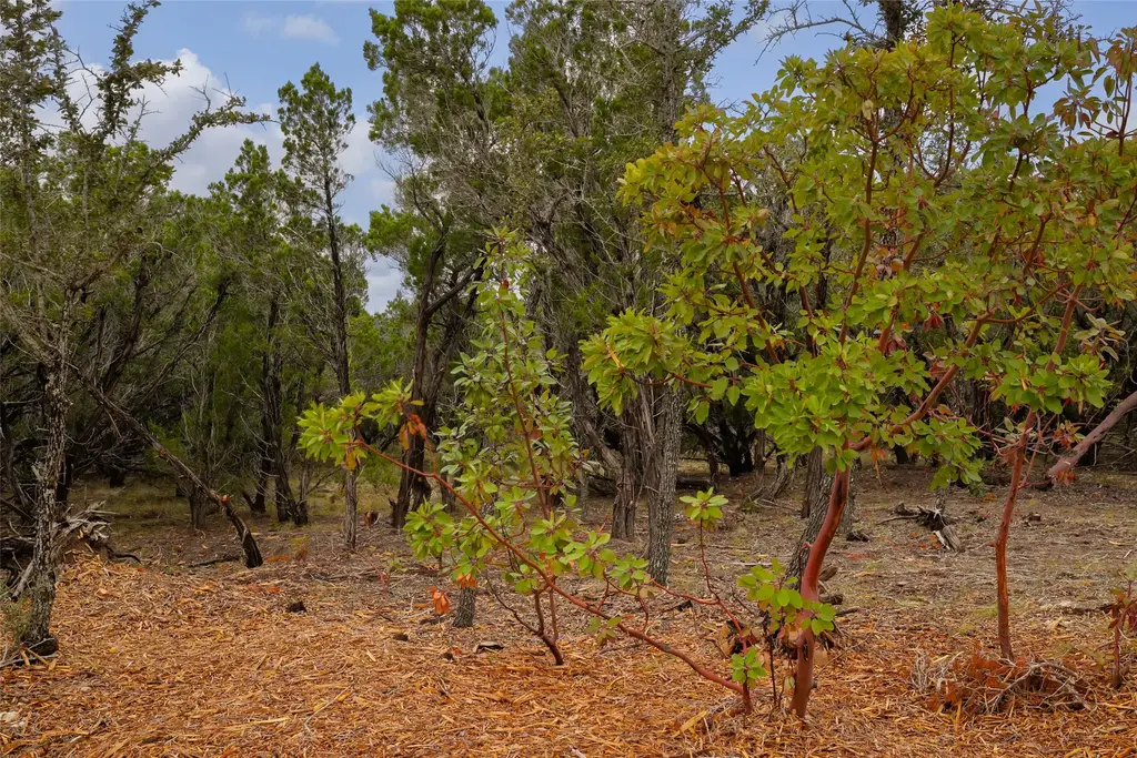 Tbd Stagecoach Ranch Loop, Dripping Springs