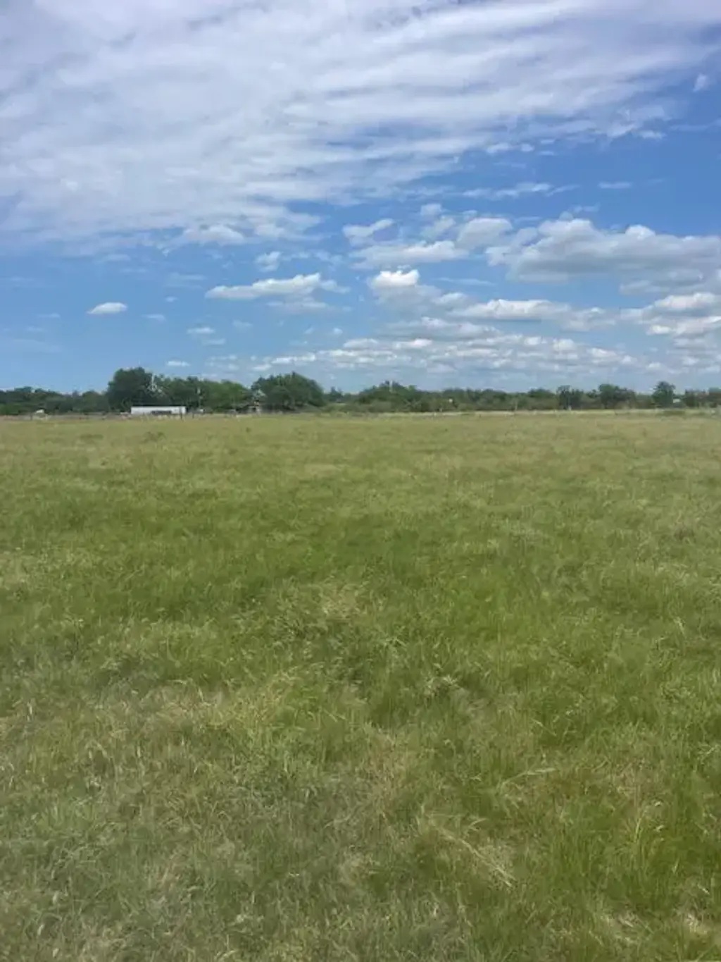 Roberts Road, Holland