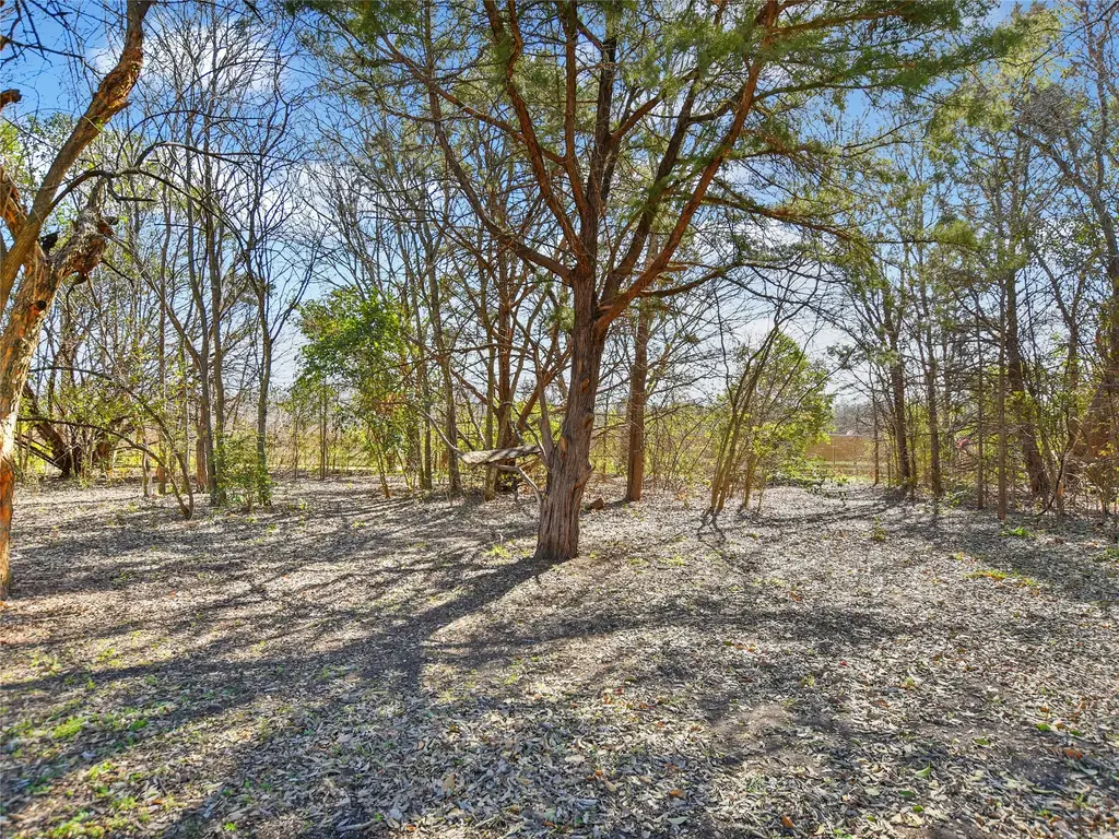 Lott Avenue, Austin