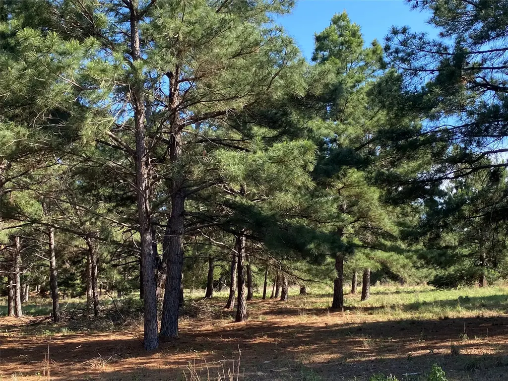 147 Oak Leaf Drive, Bastrop