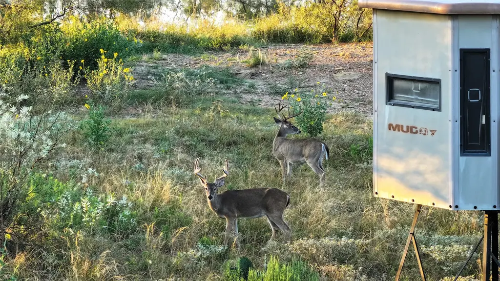 392 County Road 230, San Saba