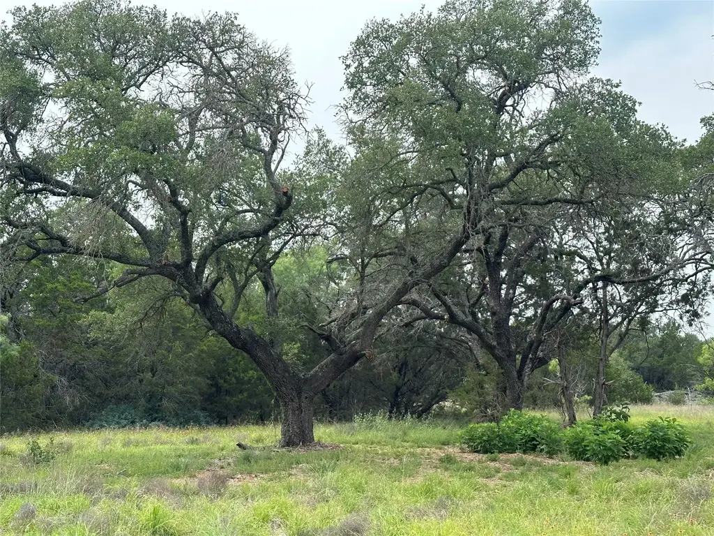 144 S Live Oak Drive, Goldthwaite