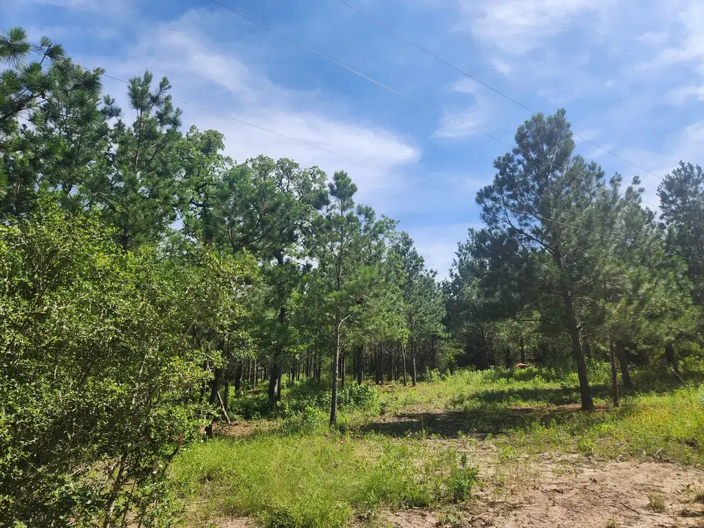 124 Paintbrush Lane, Bastrop