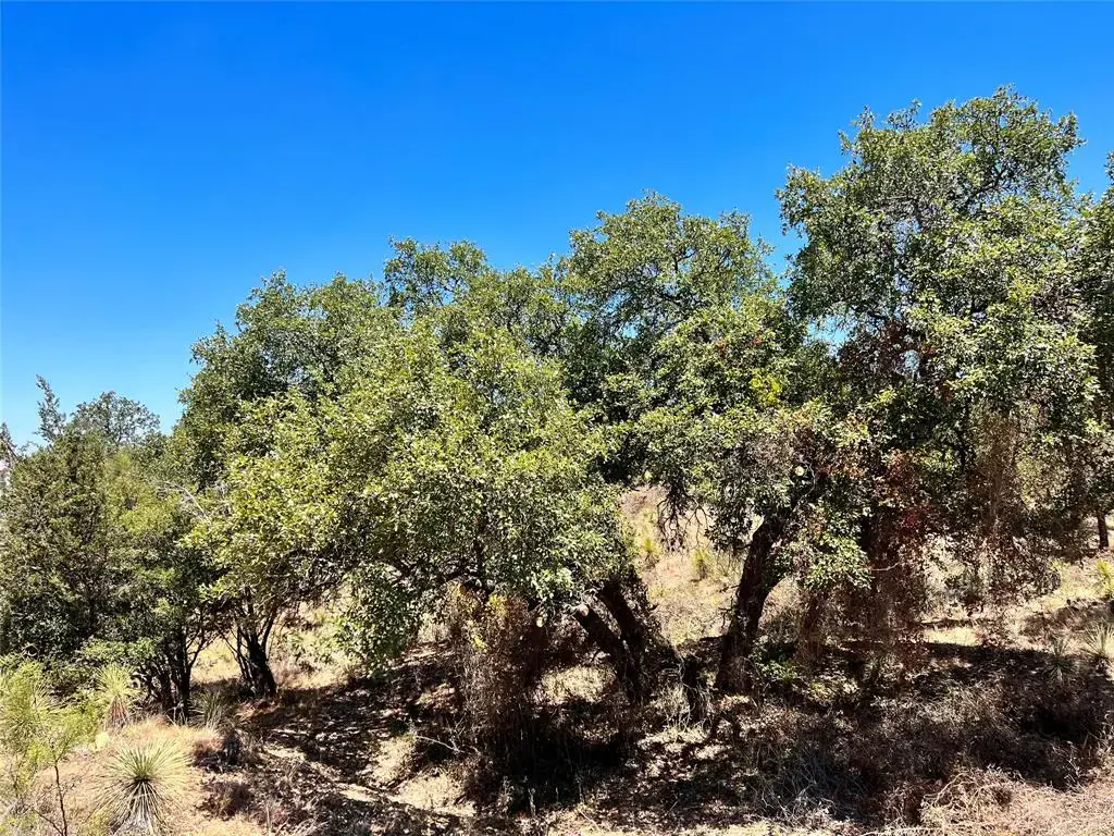 Lots 320-323 Tbd W. Castlebriar Drive, Granite Shoals