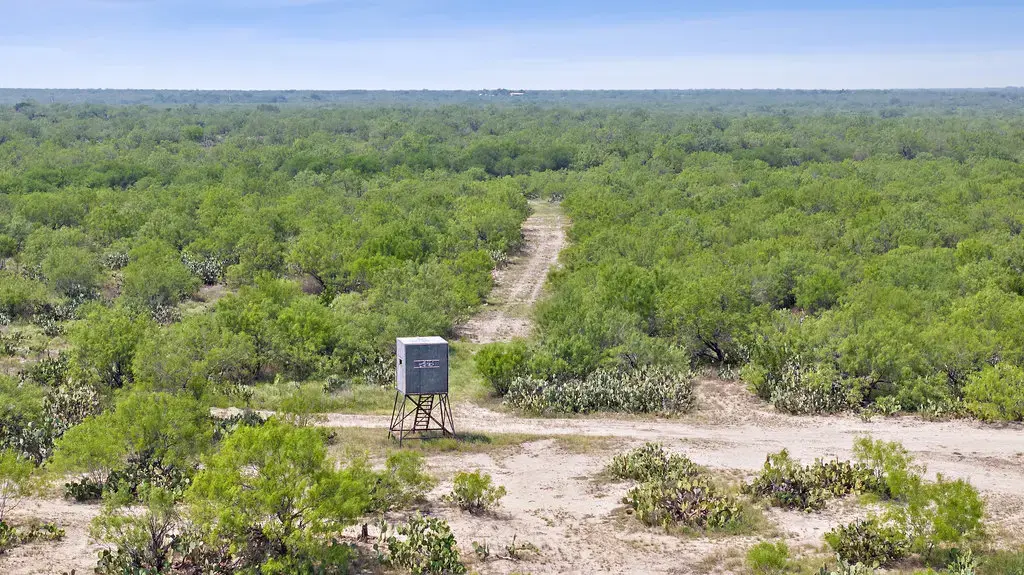 Hwy 16, Zapata