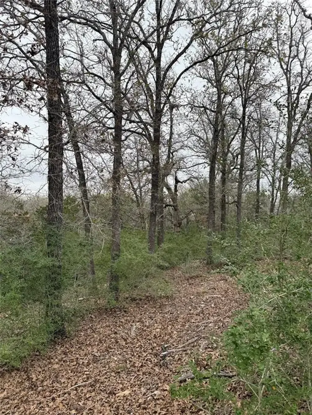 Wailupe Circle, Bastrop