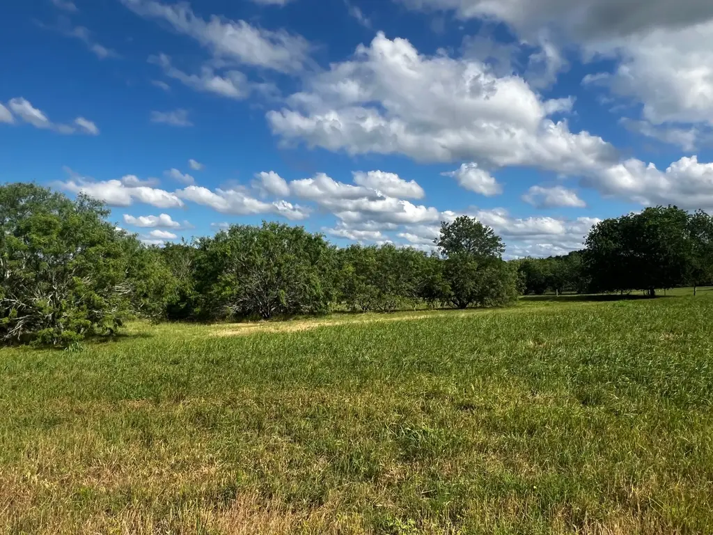 Lot 5 High Meadow Court East, Schulenburg