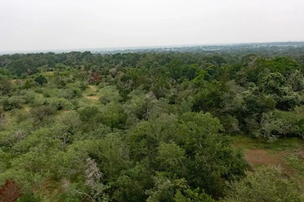 Lot 2 Private Road 4601, Waelder