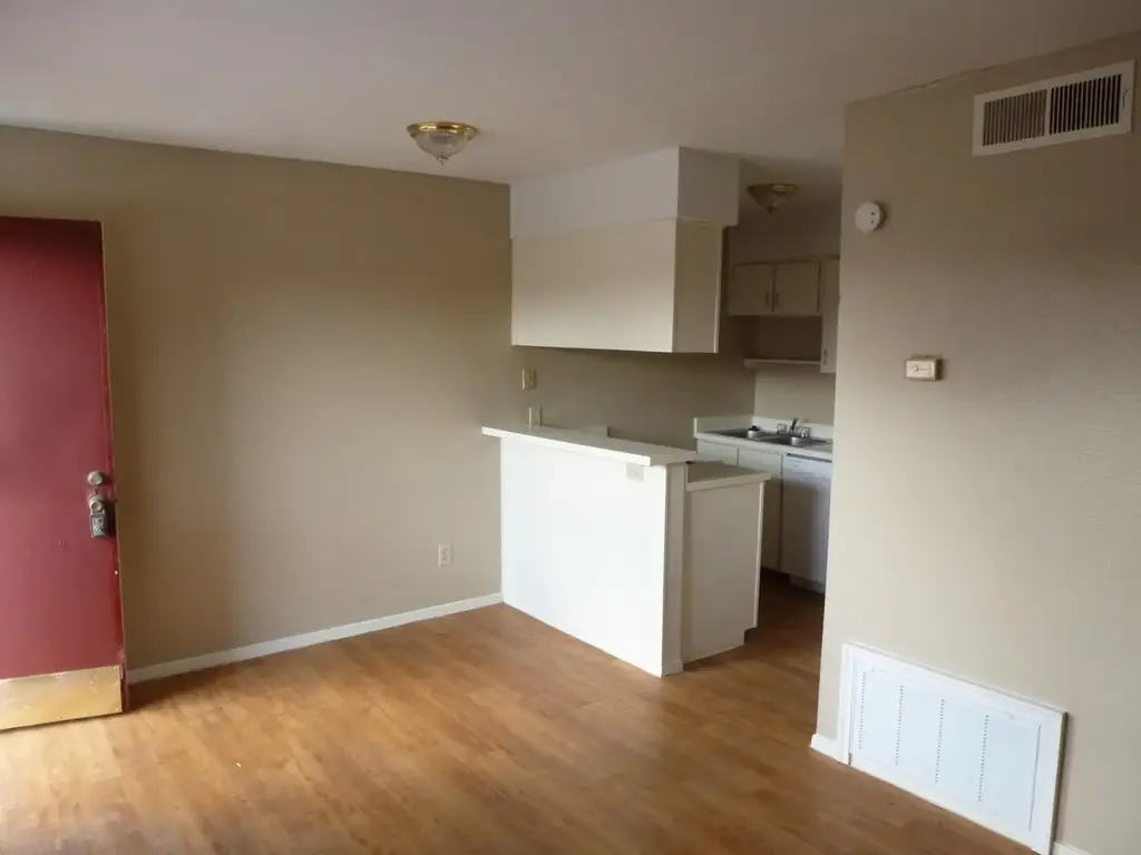 919 E 46th Street, Austin