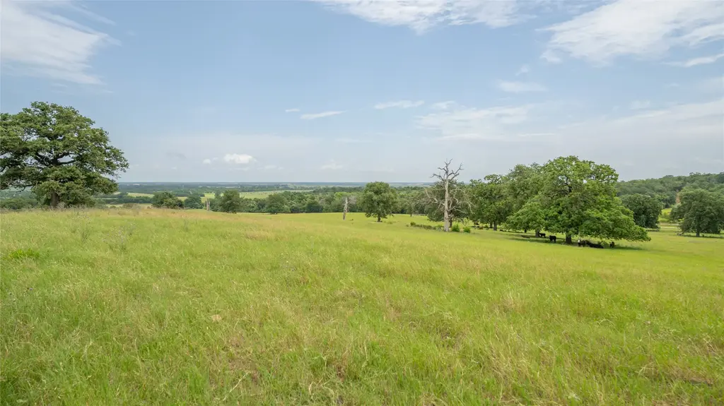 Cr 227, Cameron