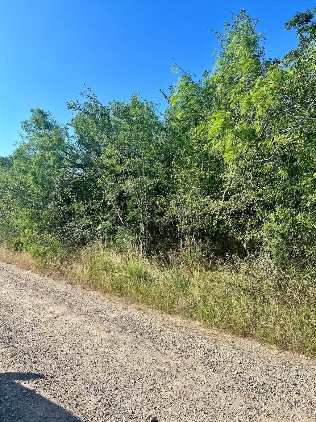 183 Helemano Drive, Bastrop