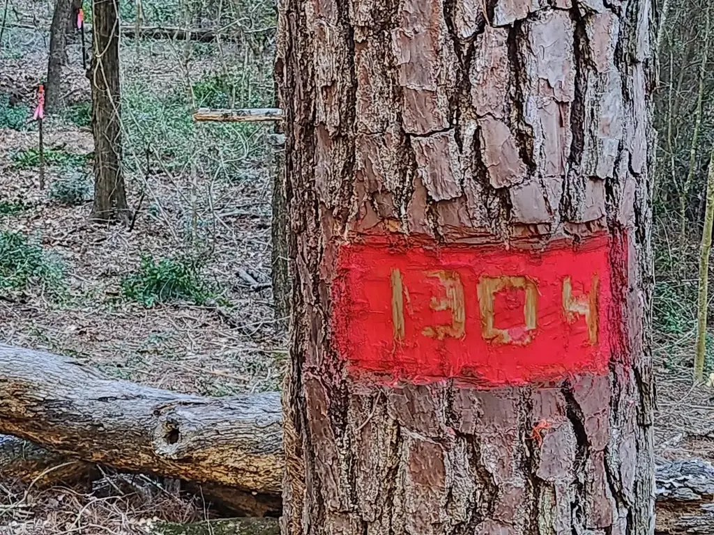Tbd - Lot 1304 Hanauma Drive, Bastrop
