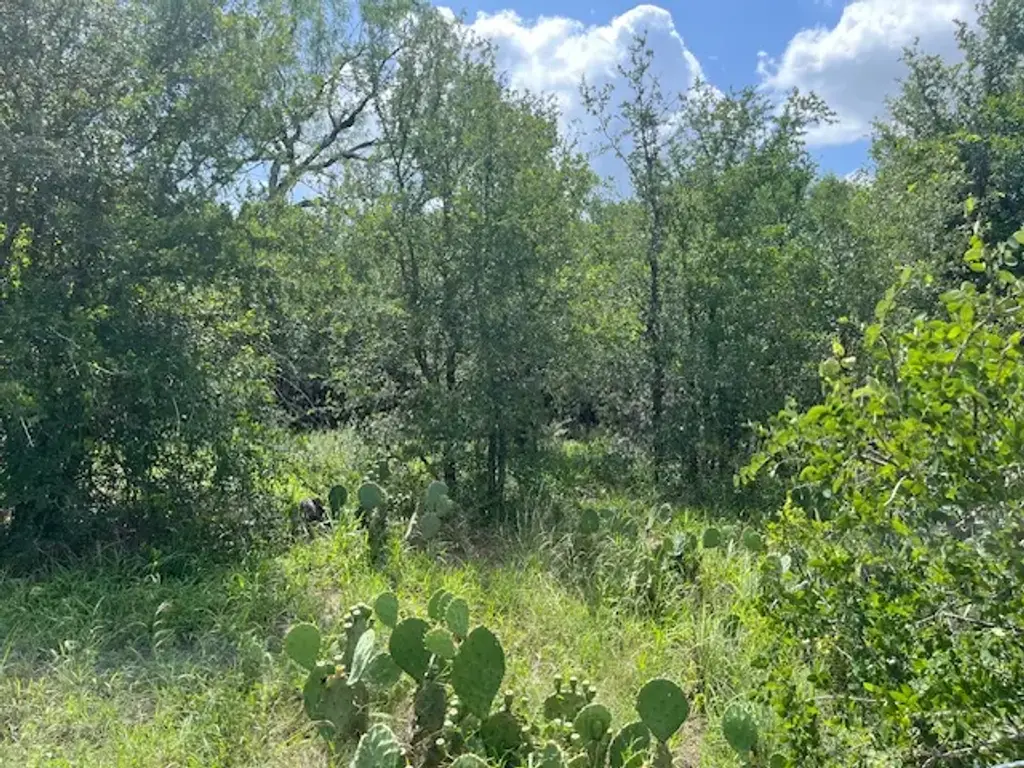 103 Mann Lane, Cedar Creek
