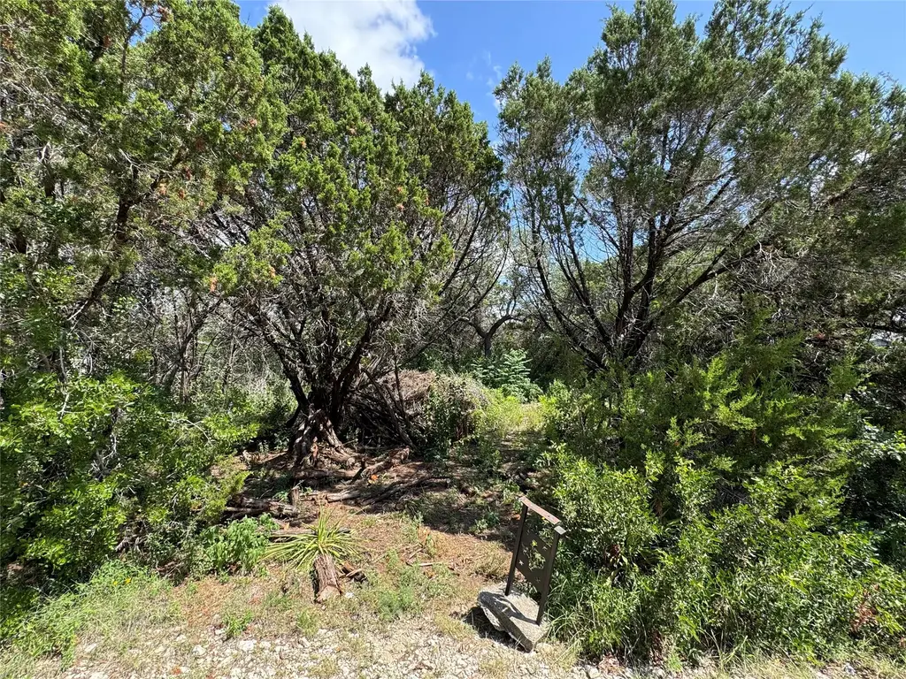 18304 Lake Oaks Drive, Jonestown