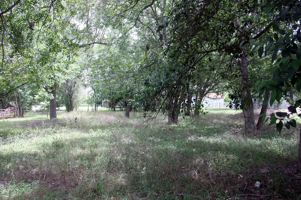 Laredo Street S, Lockhart