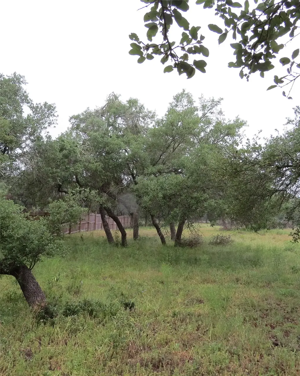 Pecos Drive, Wimberley