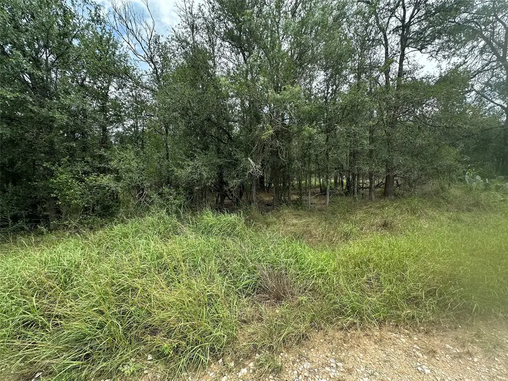 187 Puu Waa Waa Lane, Bastrop
