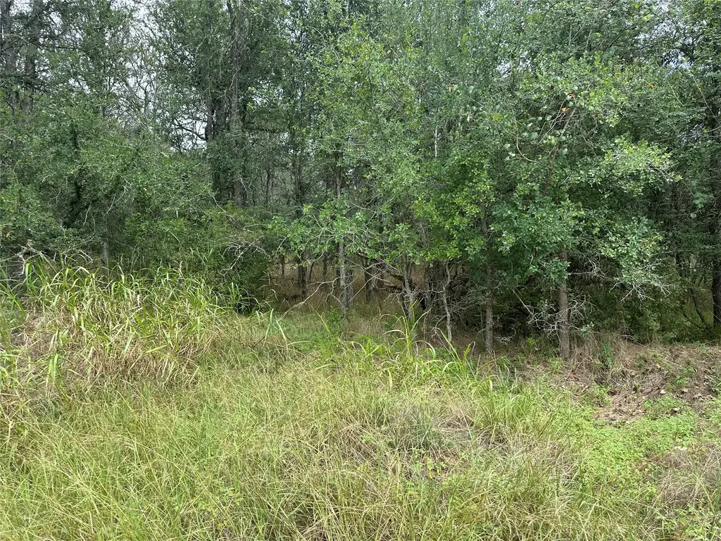 109 Halawa Court, Bastrop