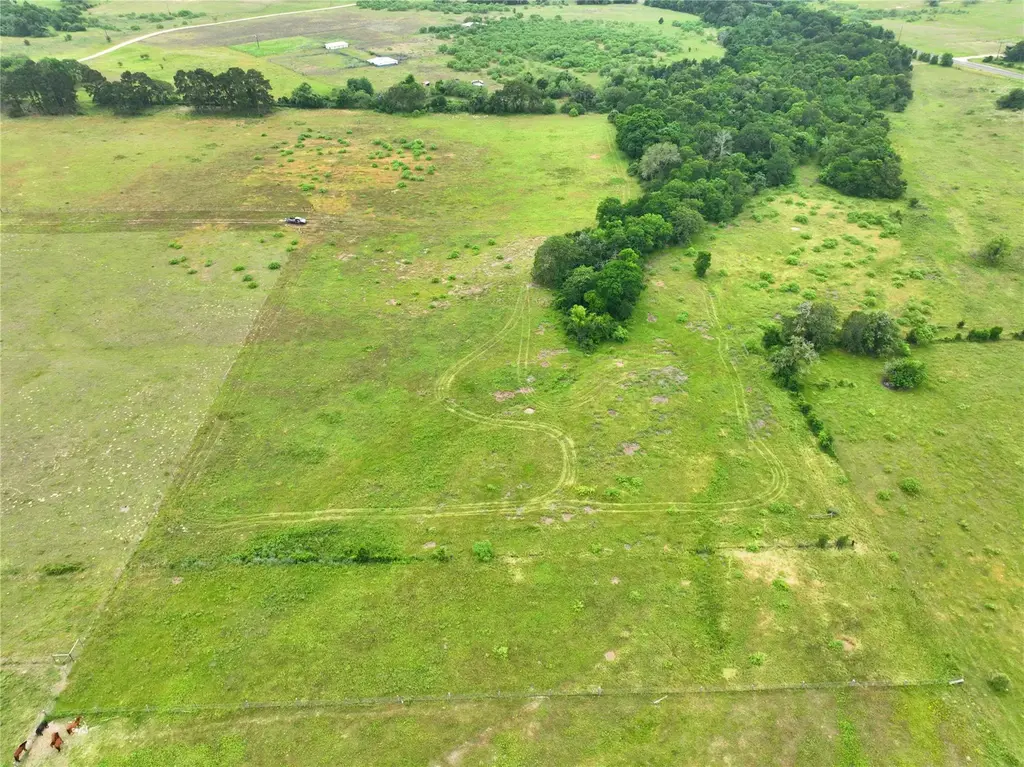 1450 Cattlemens Row Tract 3, Lockhart