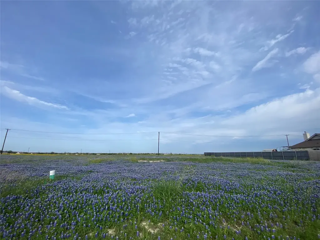 360 Meadow Valley Loop, Jarrell