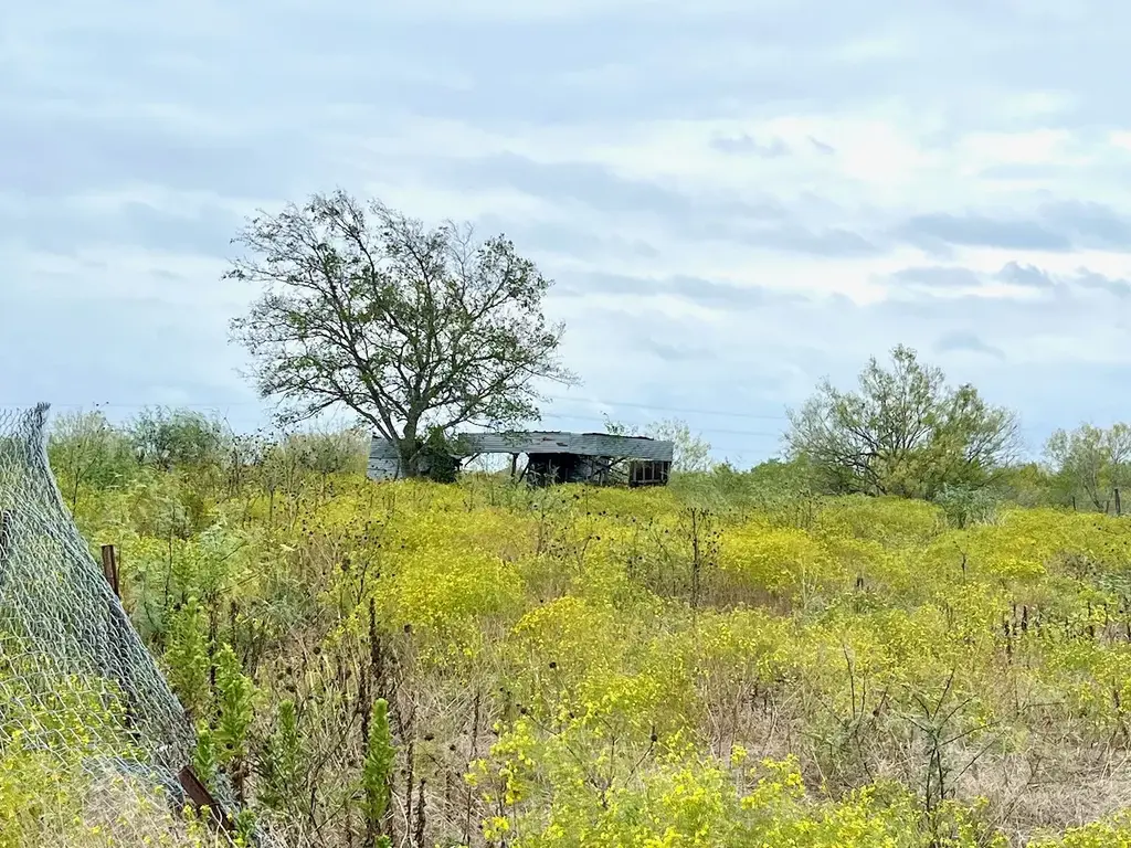 11604 Moore Road, Austin