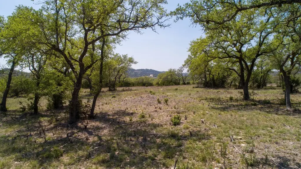 101 Bluff Ridge Trail, Blanco