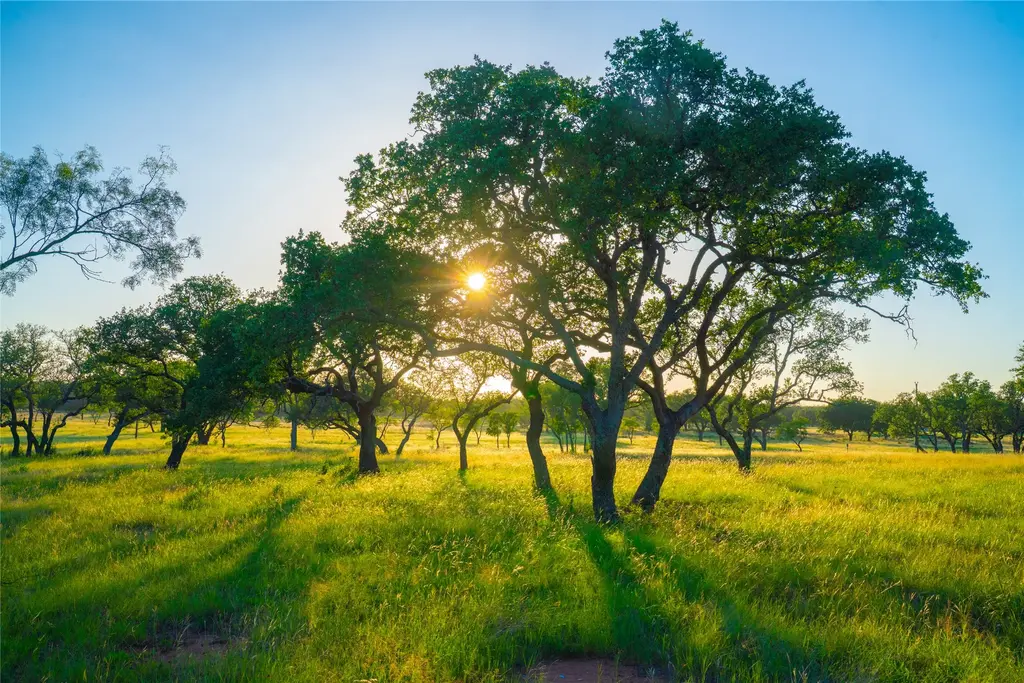 Rolling Oaks Ranch, Johnson City