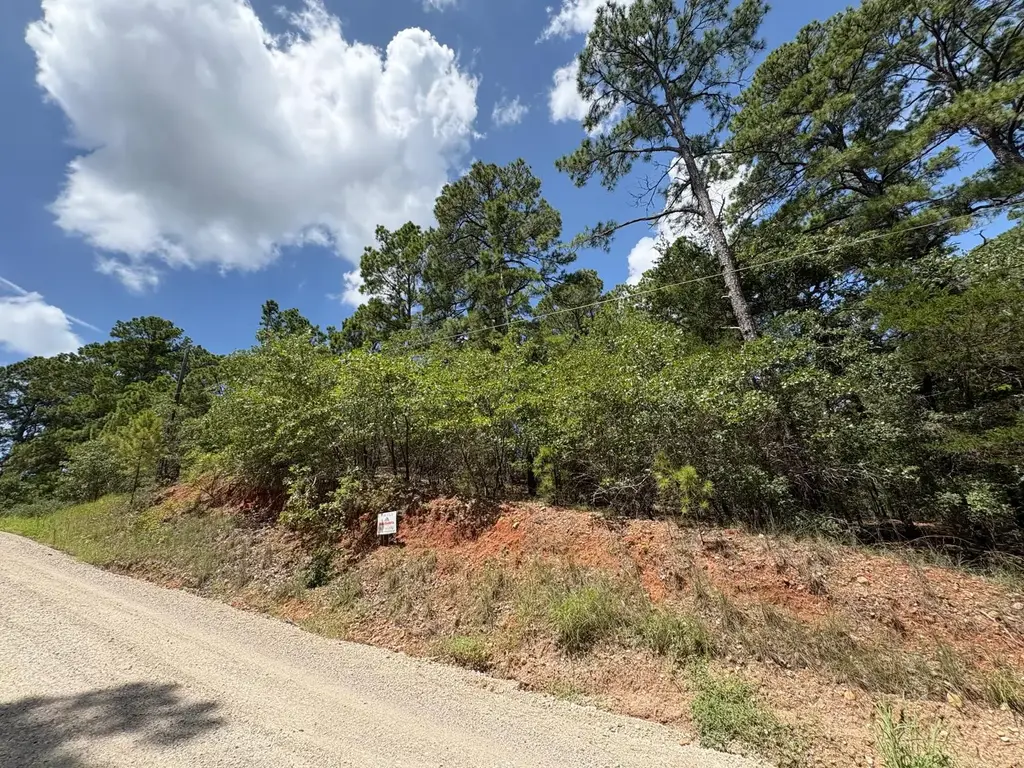 120 Molokini Drive, Bastrop