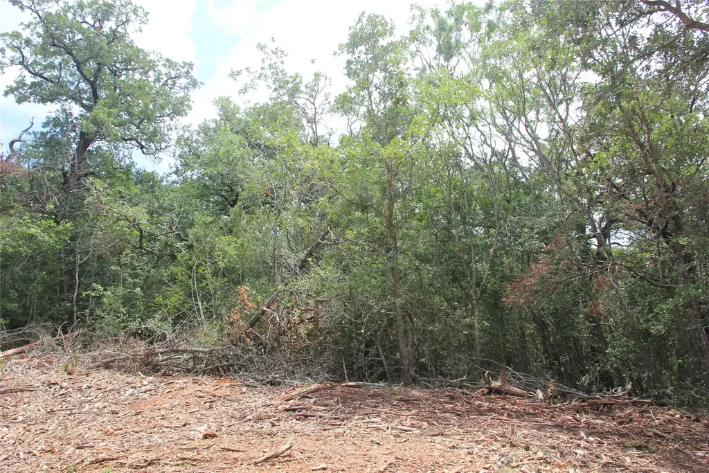 107 Kalihi Court, Bastrop