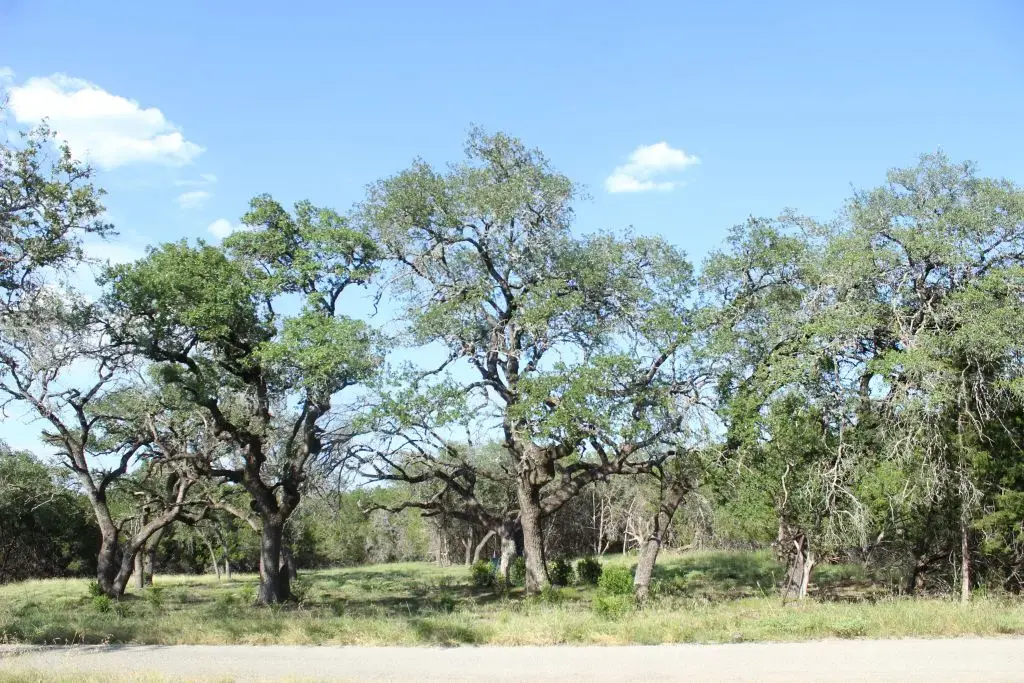 Lots 56-57 Travis Oaks Drive, Marble Falls