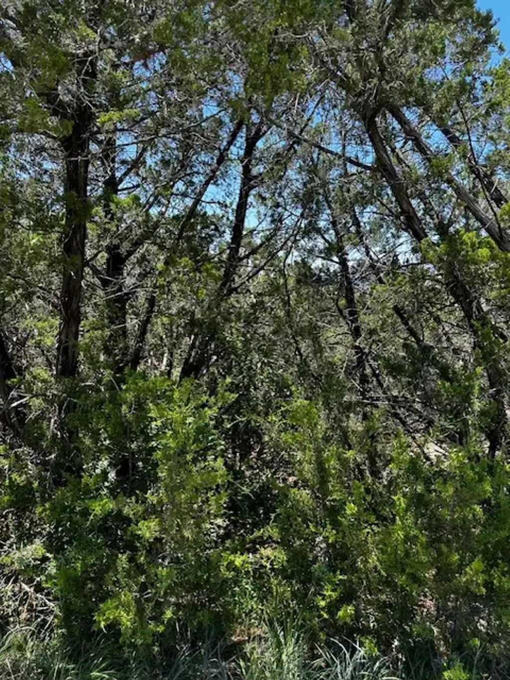 8402 Bronco Lane, Lago Vista