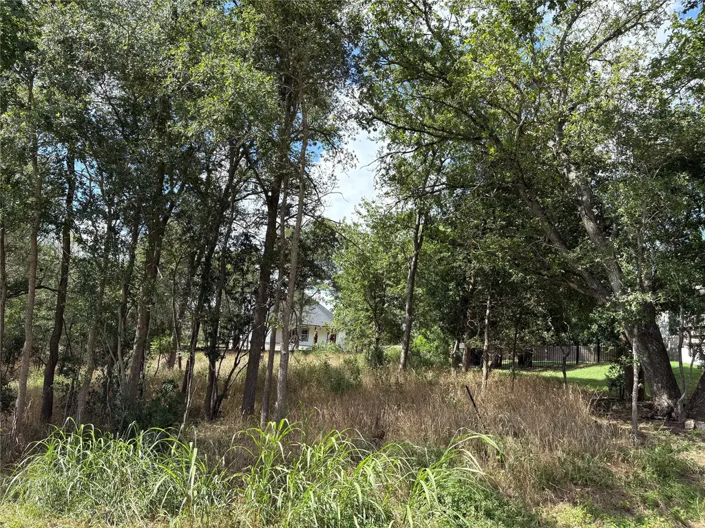 111 W Kikipua Lane W, Bastrop