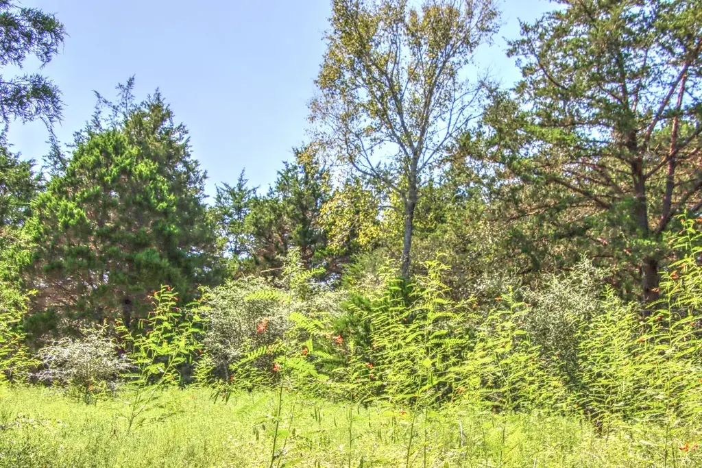 Hellinger Road, Flatonia