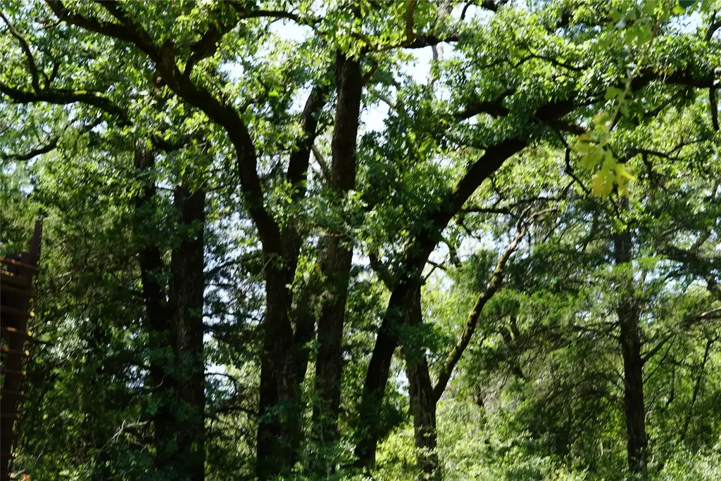 5548 County Road 322, Rockdale