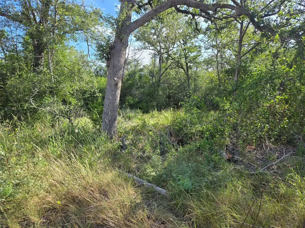 Mesquite Drive, Cedar Creek