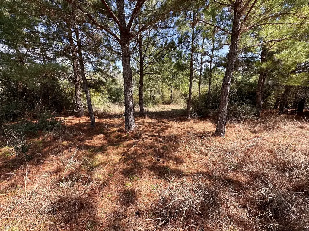 Tbd Hula Lane, Bastrop
