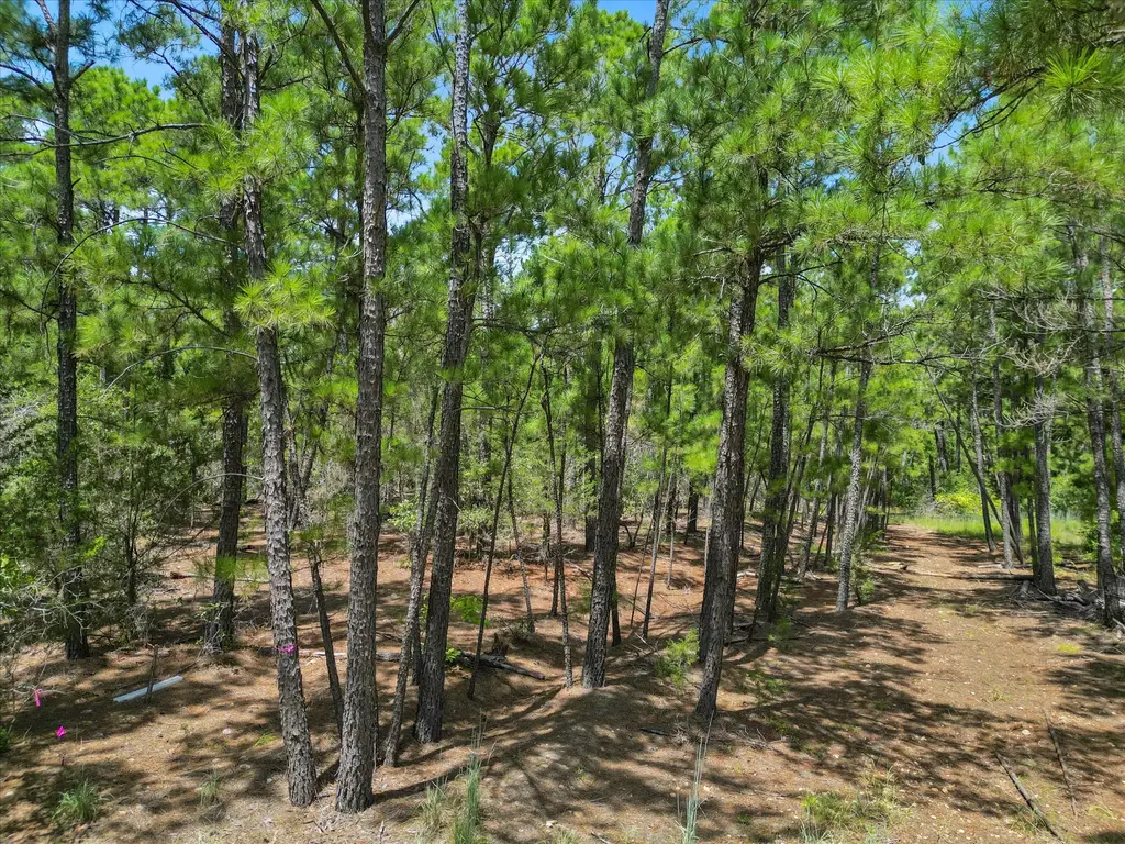 Lot 56 Akala Lane, Bastrop