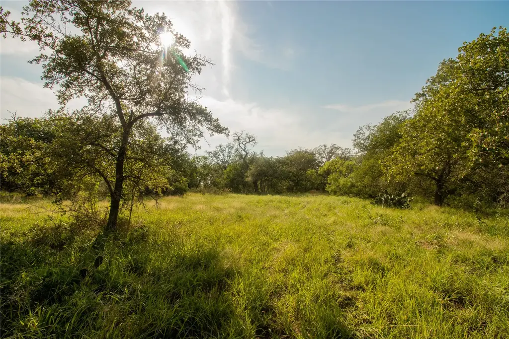 437 Firefly Field Lane, Seguin