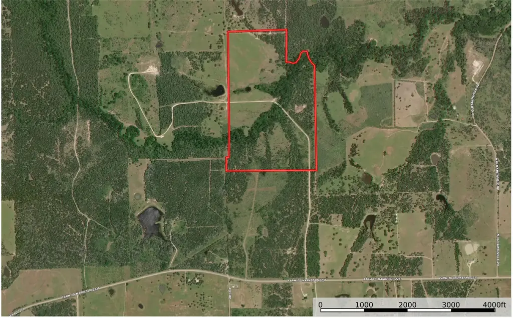 Tbd Fm-2237, Flatonia