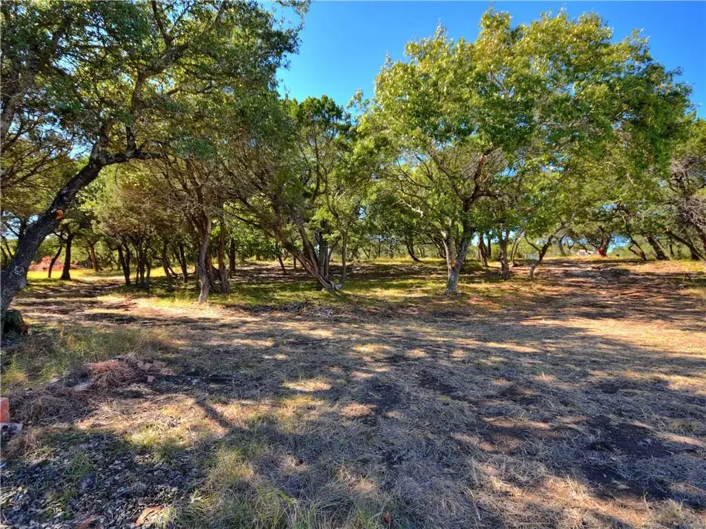 24391 Bingham Creek Road, Leander