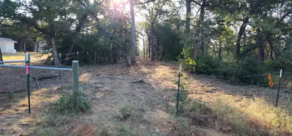 Tbd Milam Lane, Bastrop