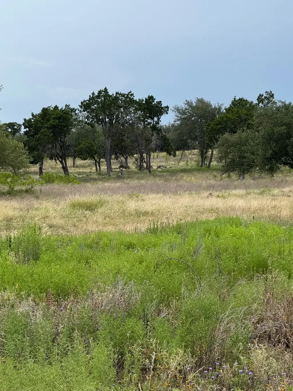 251 Pioneer Trail, Dripping Springs