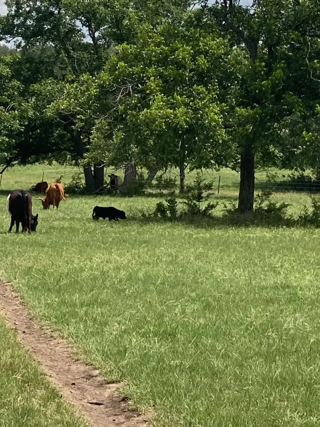 2029 County Road 200, Burnet