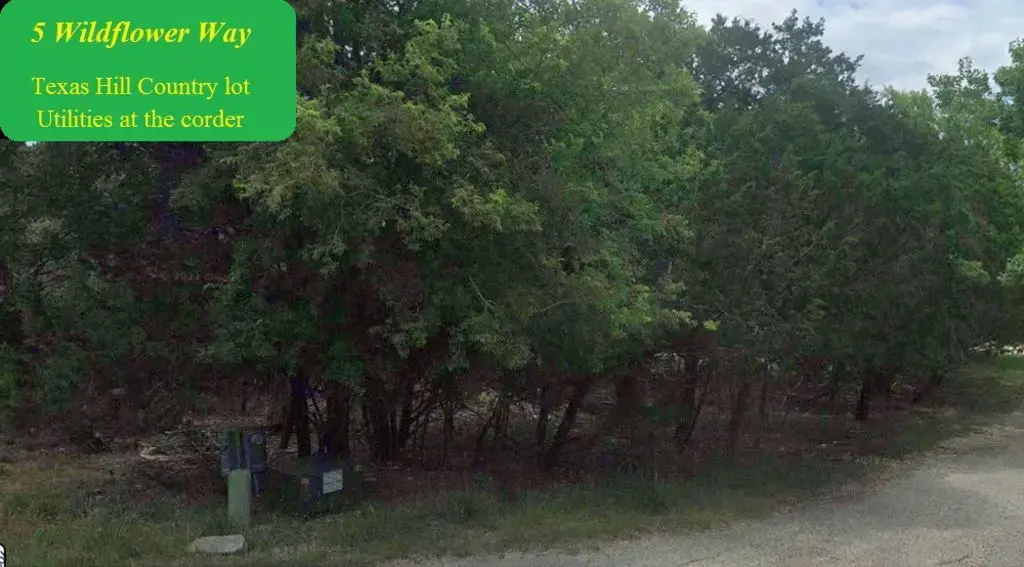 5 Wildflower Way, Wimberley