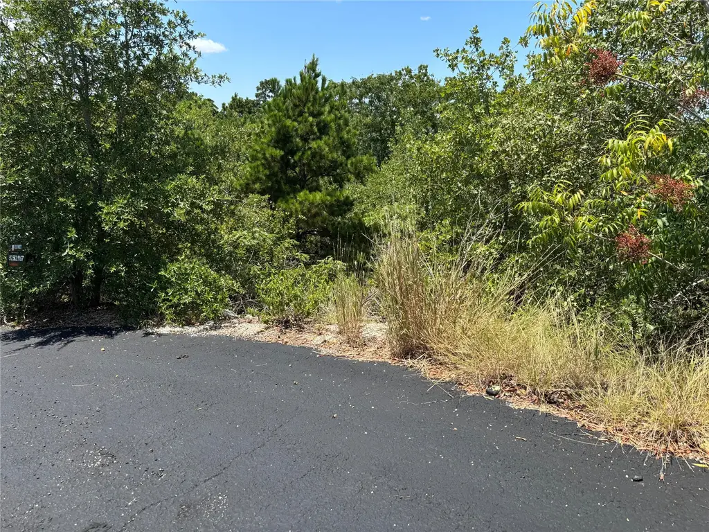 456 Ori Court, Bastrop