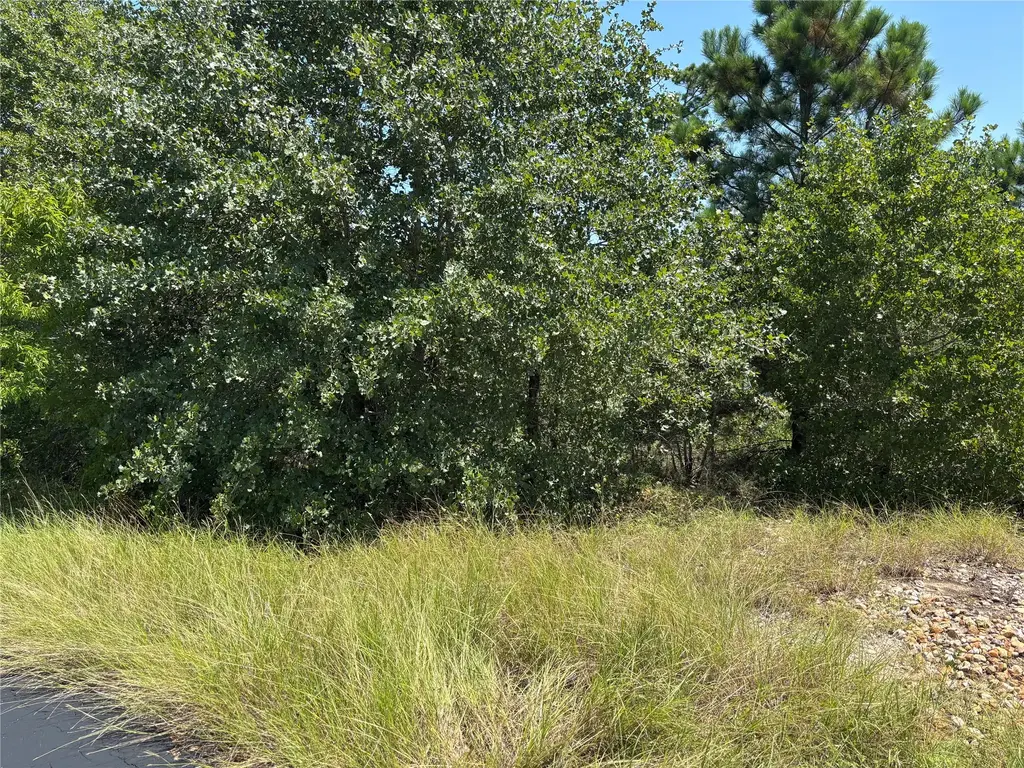 464 Ori Court, Bastrop