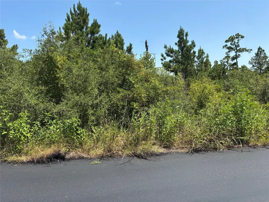 106 Homonu Court, Bastrop