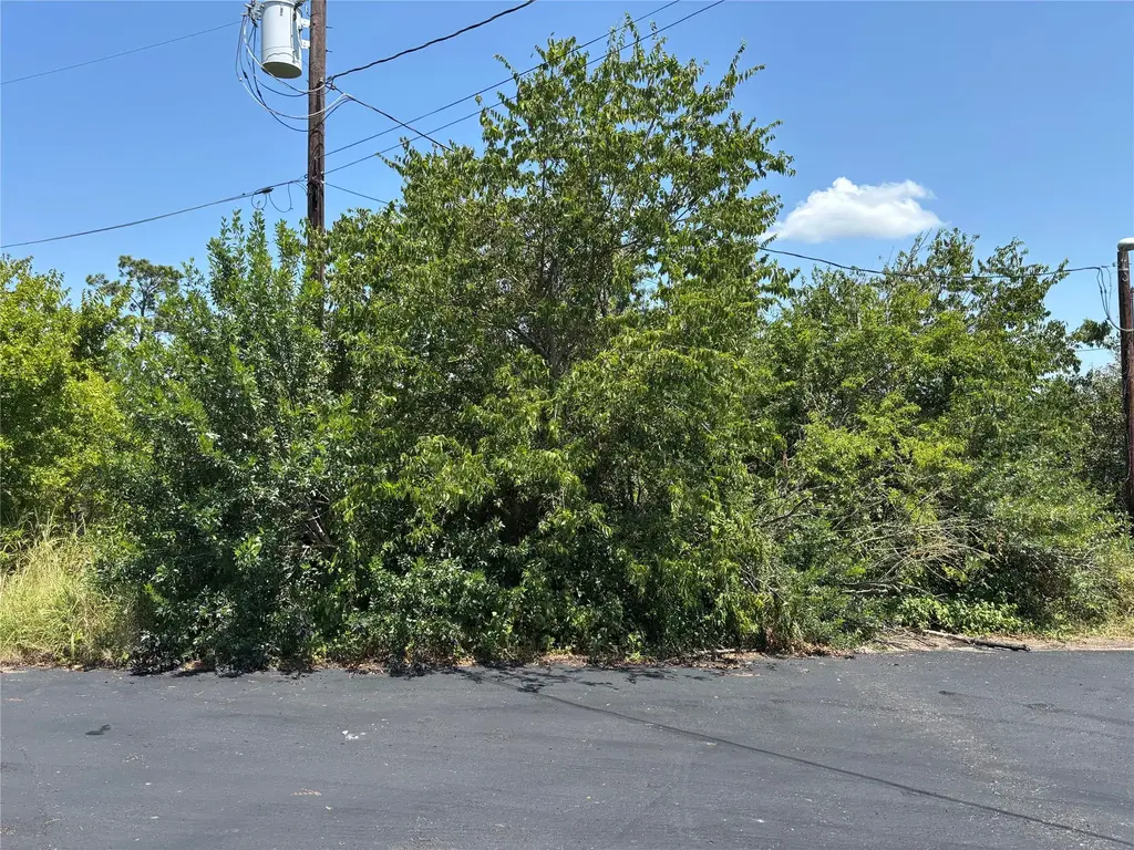 Homonu Court, Bastrop