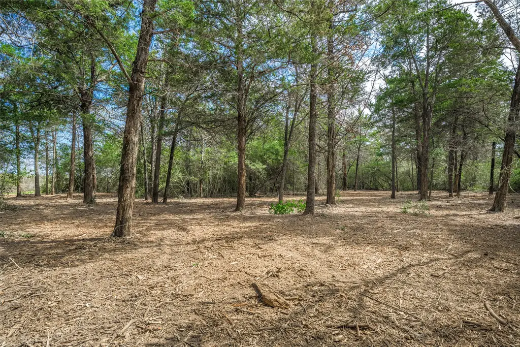 Tbd (lot 1) Independence Street, Carmine