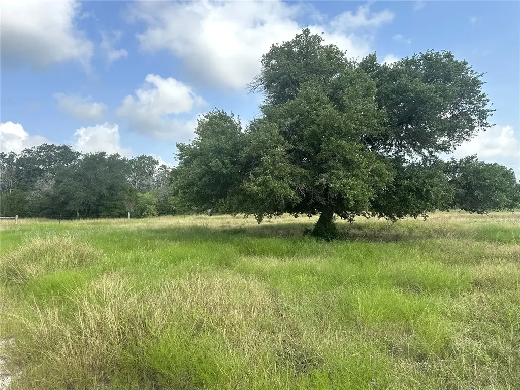 8345 Farm To Market Road 2145, La Grange